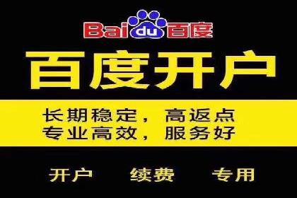 竞价推广公司案例揭秘：如何利用数据分析提升广告效果